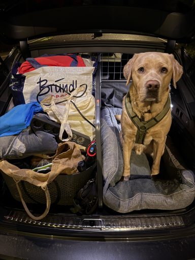 Ventipet - Der Travel-Assistant für deinen Hund!