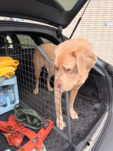 Ventipet - Der Travel-Assistant für deinen Hund!