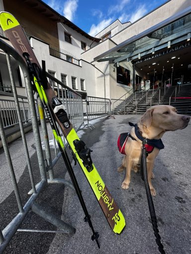 Ventipet - Der Travel-Assistant für deinen Hund!